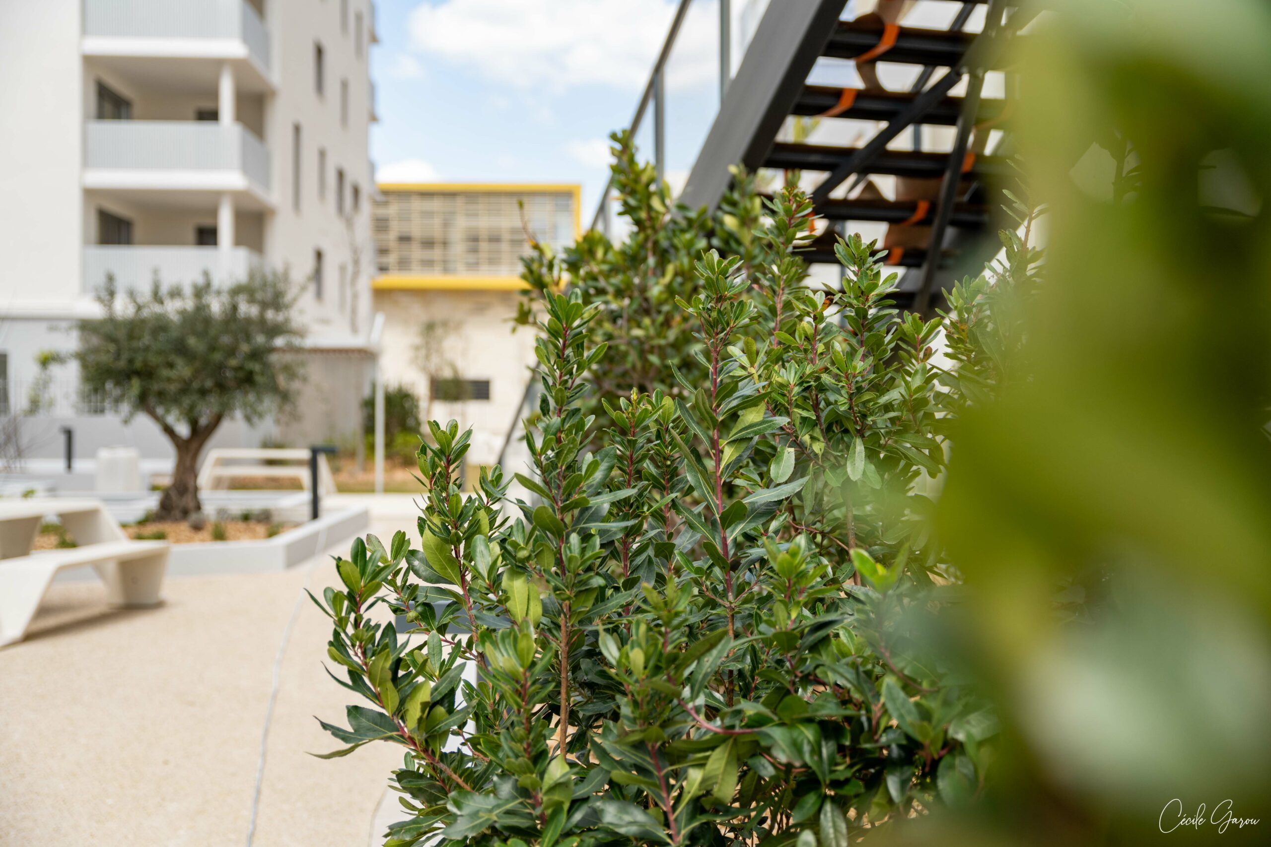 projet immobilier neuf neocity montpellier