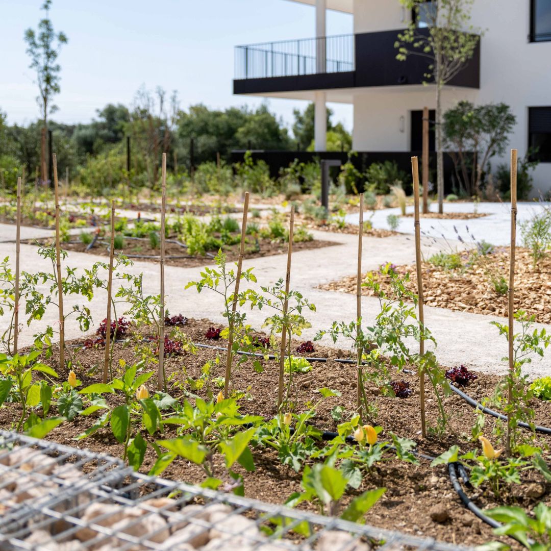 Potager partagé et espaces paysagers de la résidence Rocca Bella à Saint-Jean-de-Védas