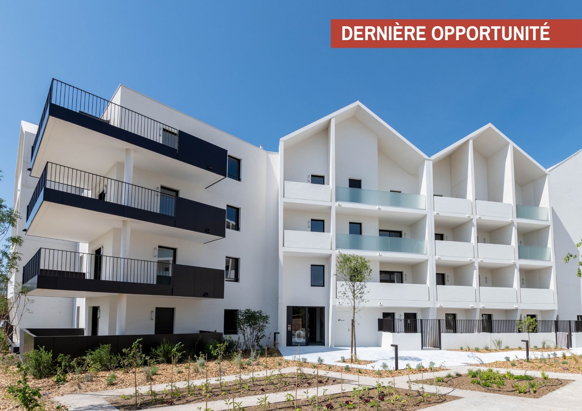 Vue extérieure de la résidence Rocca Bella à Saint-Jean-de-Védas, avec ses façades blanches, ses balcons et ses espaces paysagers
